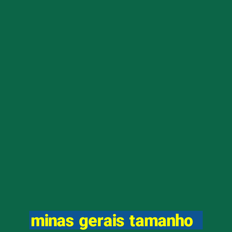 minas gerais tamanho