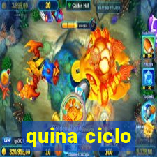 quina ciclo