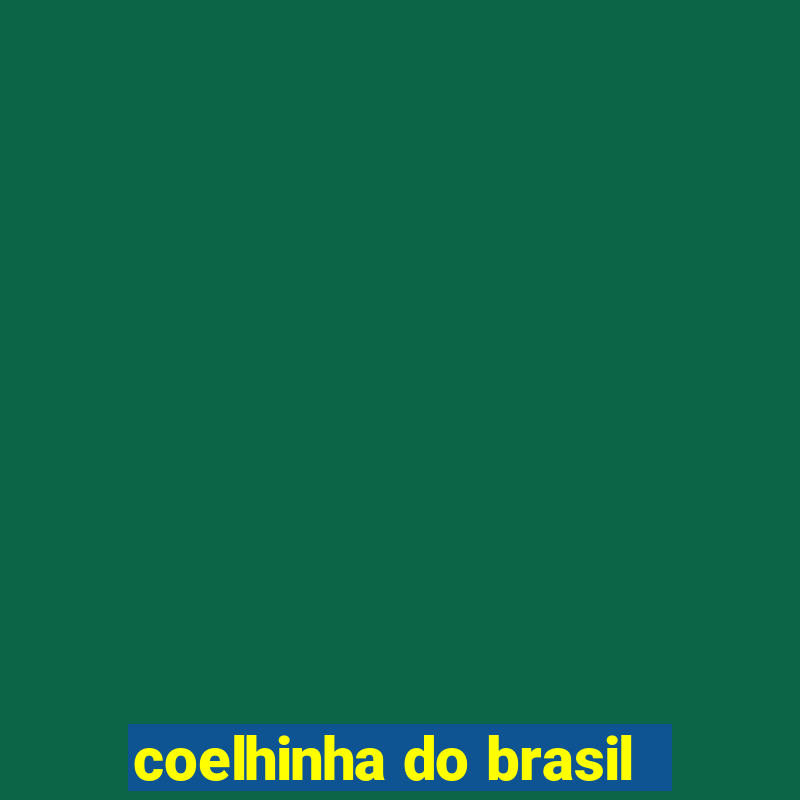 coelhinha do brasil