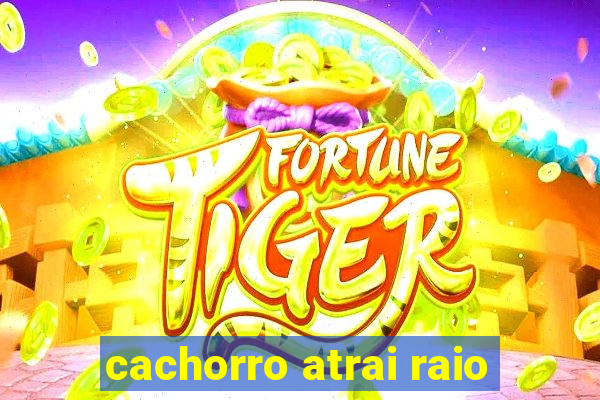 cachorro atrai raio