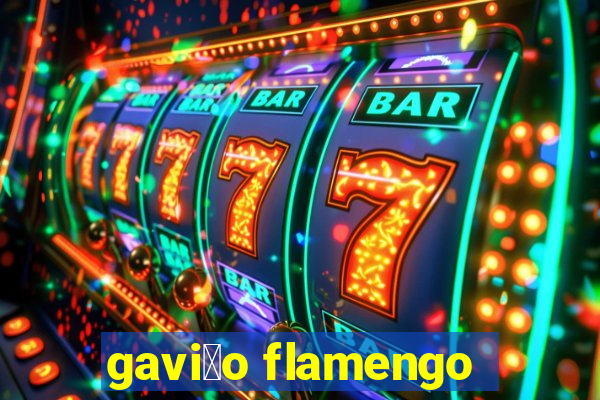 gavi茫o flamengo