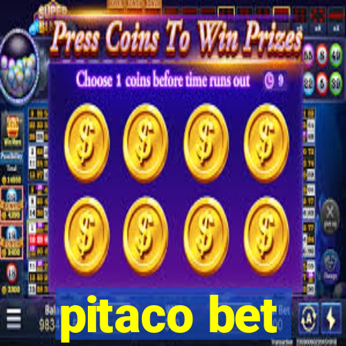 pitaco bet