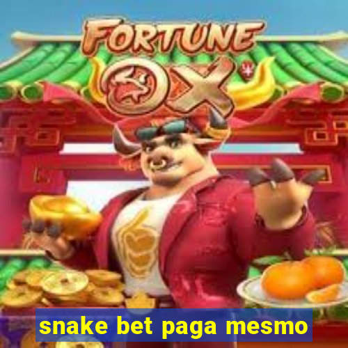 snake bet paga mesmo