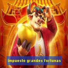 impuesto grandes fortunas