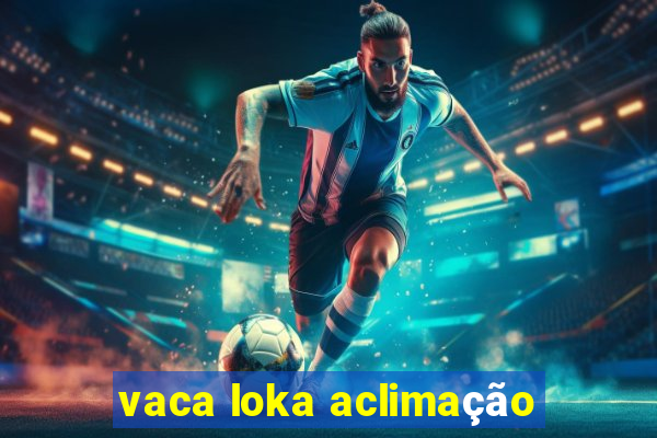 vaca loka aclimação