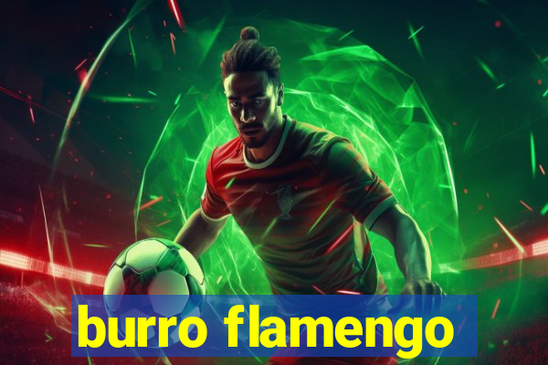 burro flamengo