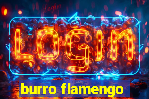 burro flamengo