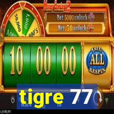 tigre 77