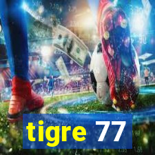 tigre 77