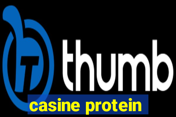 casine protein