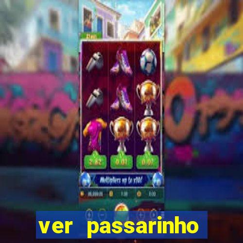 ver passarinho morto significado