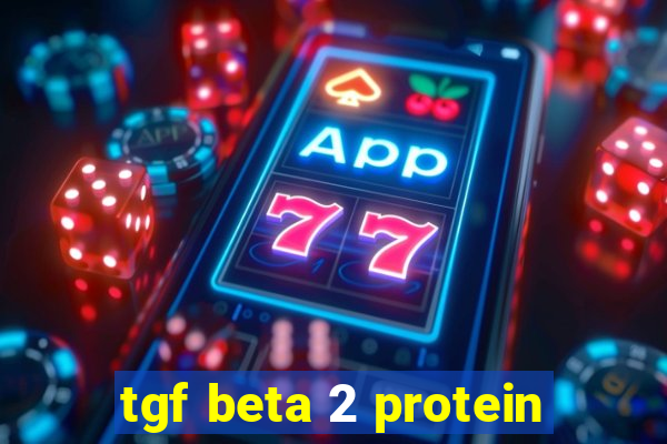 tgf beta 2 protein