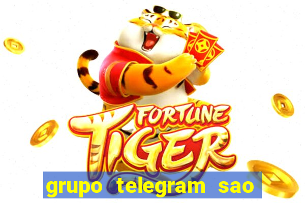 grupo telegram sao jose do rio preto