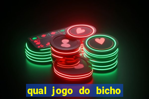 qual jogo do bicho paga mais