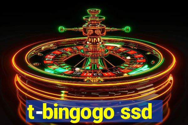 t-bingogo ssd