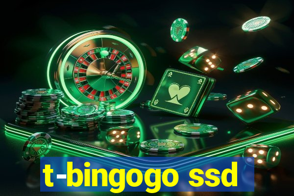 t-bingogo ssd