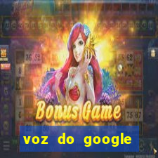 voz do google tradutor homem