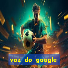 voz do google tradutor homem