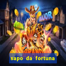 sapo da fortuna feng shui