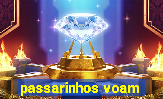 passarinhos voam