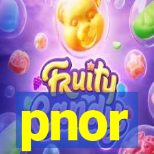 pnor