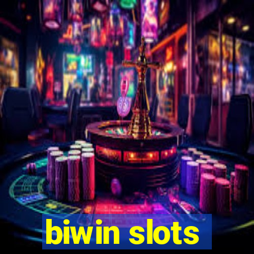 biwin slots