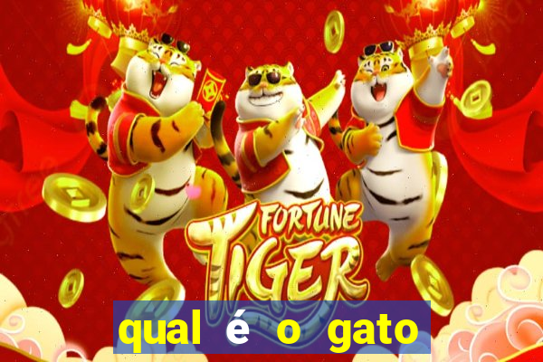 qual é o gato mais feio