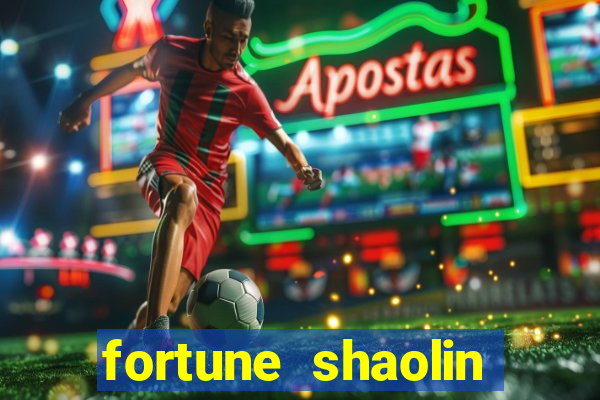 fortune shaolin soccer demo