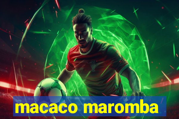 macaco maromba