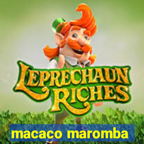 macaco maromba