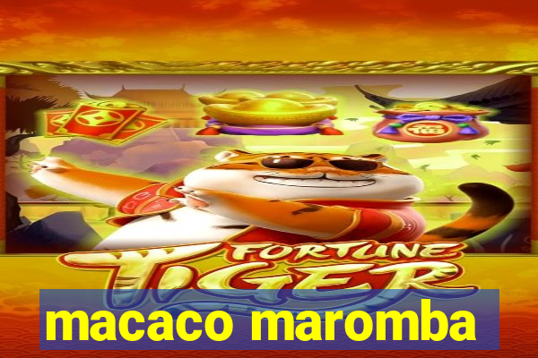 macaco maromba