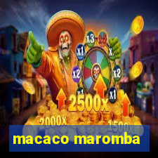 macaco maromba