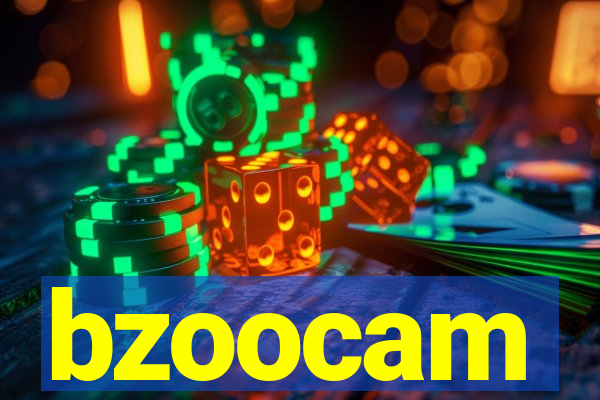 bzoocam