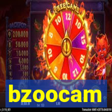 bzoocam