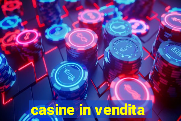 casine in vendita