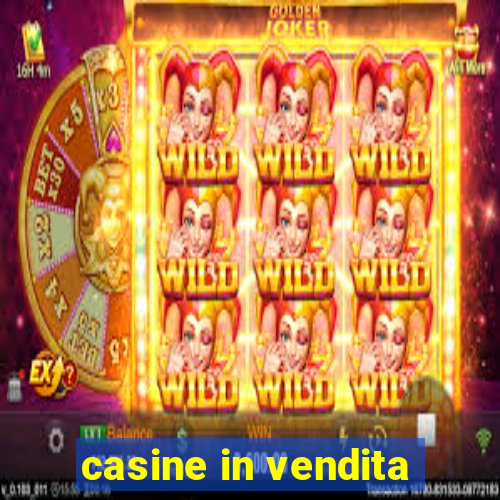 casine in vendita