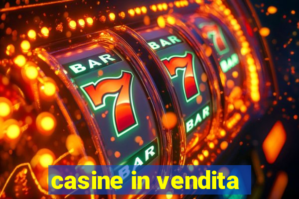 casine in vendita