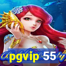 pgvip 55