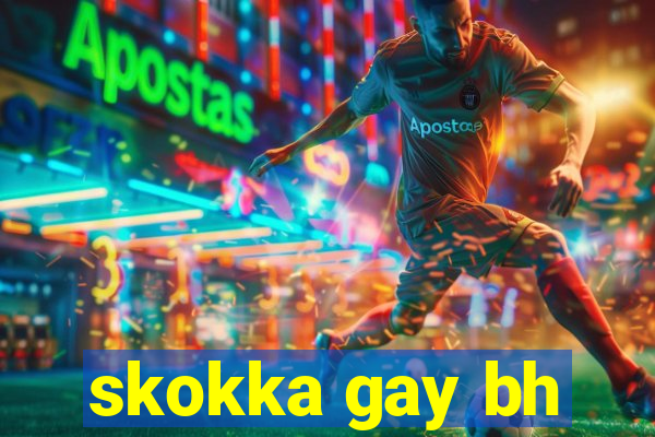 skokka gay bh