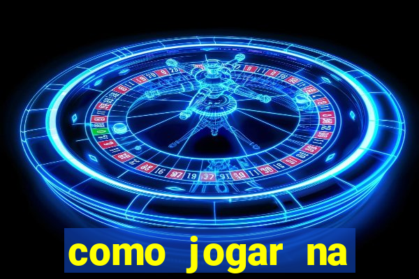 como jogar na lotinha do jogo do bicho