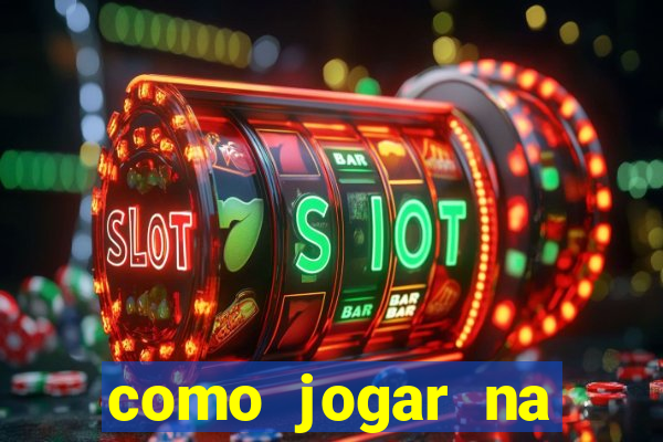 como jogar na lotinha do jogo do bicho