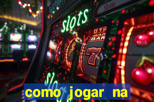 como jogar na lotinha do jogo do bicho