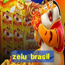 zelu brasil facilitadora de pagamentos ltda jogos