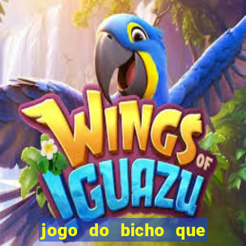 jogo do bicho que da dinheiro