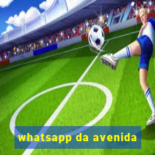 whatsapp da avenida