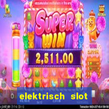 elektrisch slot houten poort