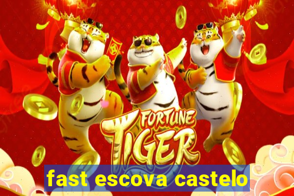 fast escova castelo