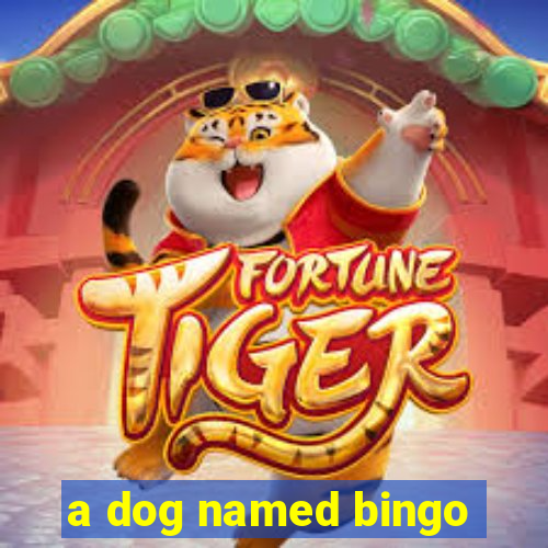 a dog named bingo