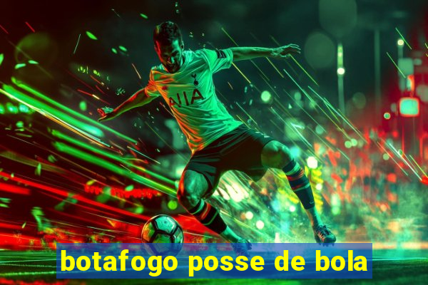 botafogo posse de bola