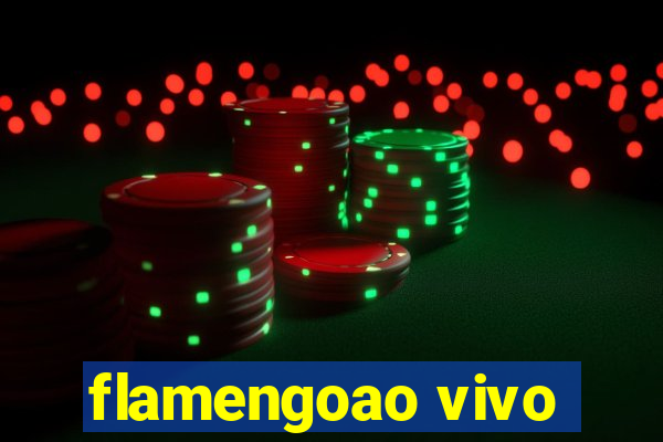 flamengoao vivo